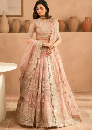 cropped_image-173450250231462_92e9acd5-abe8-4336-932c-8a31e4e6ccff